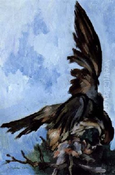 Baumfalke Schlagt Dompfaff - view 1