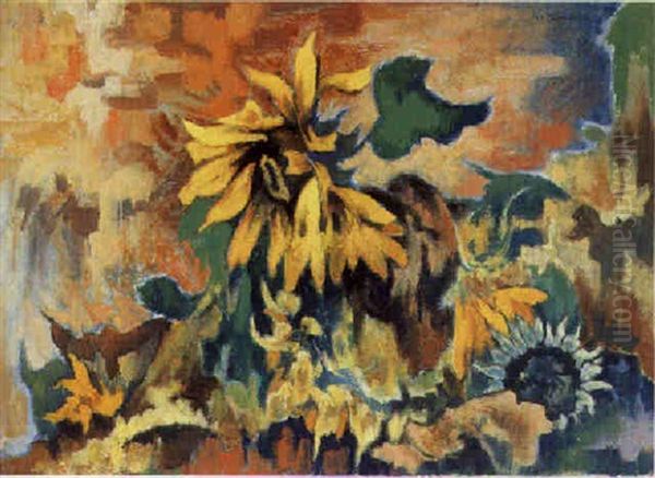 Bluhende Und Verwelkende Sonnenblumen - view 1