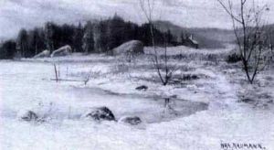 Vinter Vid Insjo