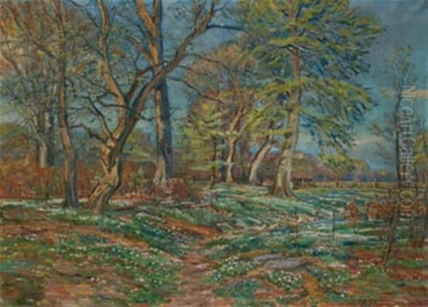 Paisaje Con Arboles - view 1