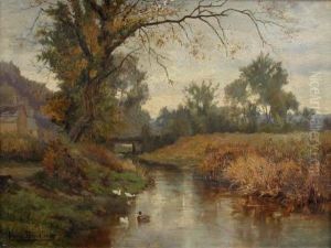 Ducks On A River