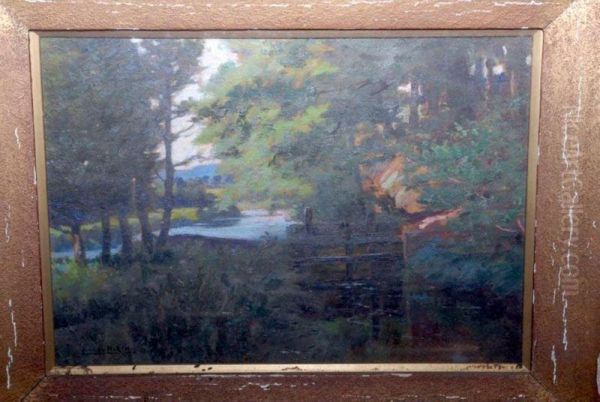 Head Weir - view 1
