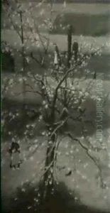 Kirschbaum - Fruhling by Kay Heinrich Nebel