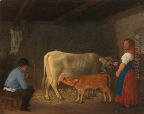 A Calf In A Stable With Farmers - view 1