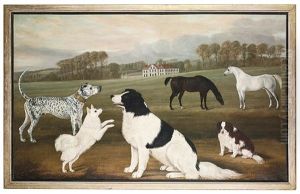 A Mastiff, A Pomeranian, A Newfoundland And A Spaniel by William Nedham