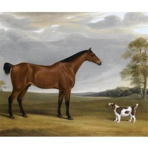 A Bay Hunter And Spaniel Before Goodwood Park by William Nedham