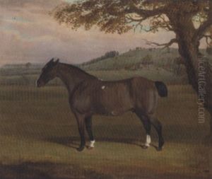 "punch", In A Landscape "punch", In A Landscape