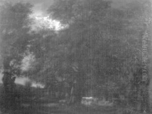 Claro De Luna Oscuro Con Caballo Blanco