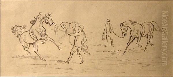 Training Horses - view 1