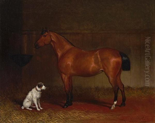 Bay Horse And Terrier In A Stable - view 1