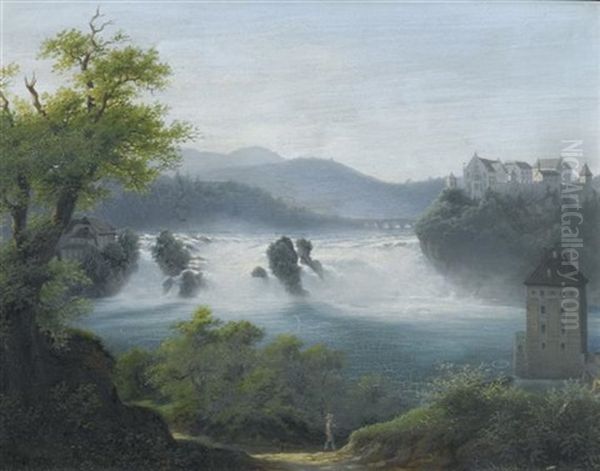 Blick Auf Den Schaffhausener Rheinfall - view 1