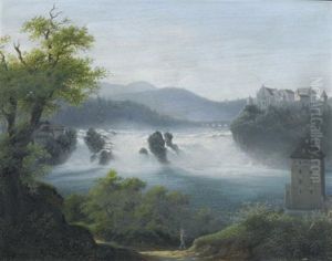 Blick Auf Den Schaffhausener Rheinfall