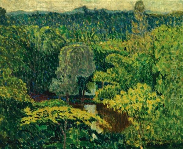 Zelena Dzungle - view 1