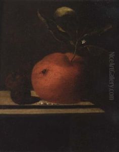 A Still Life Of An Orange And Two Medlars Upon A Ledge by Martinus Nellius
