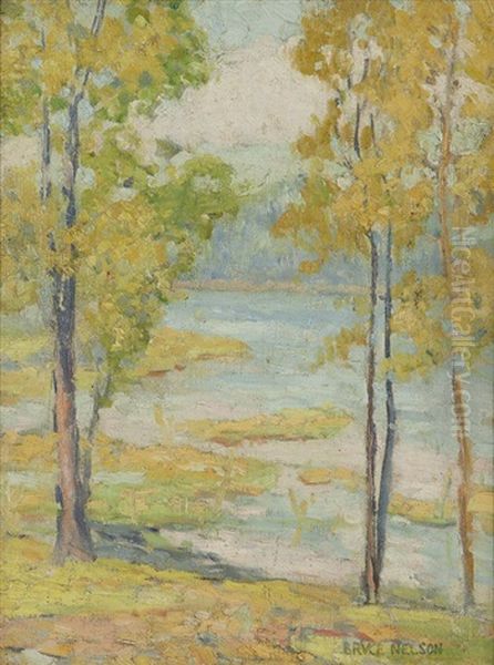 View Through The Trees - view 1