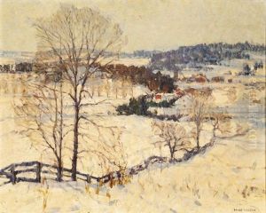 A January Afternoon by Bruce Nelson