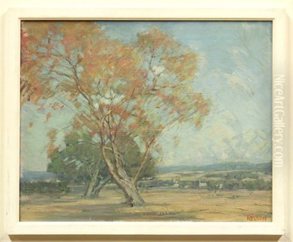 Scene From Campus - view 1