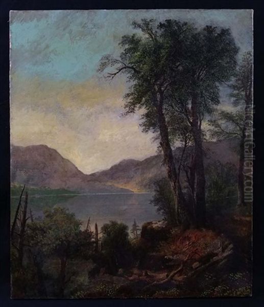 Hudson River Lake Landscape - view 1