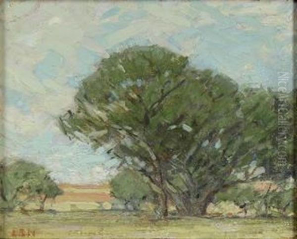 The Grounds Near Stanford, Palo Alto - view 1
