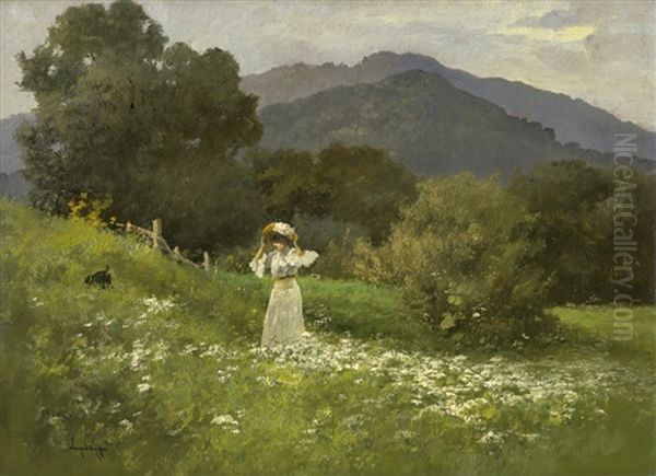 Junge Frau Mit Ihrem Hund Auf Einer Blumenwiese - view 1
