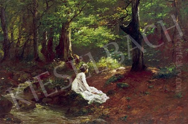 In The Forest (rendezvous) - view 1
