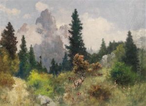 Rotwild Auf Waldlichtung by Antal Neogrady