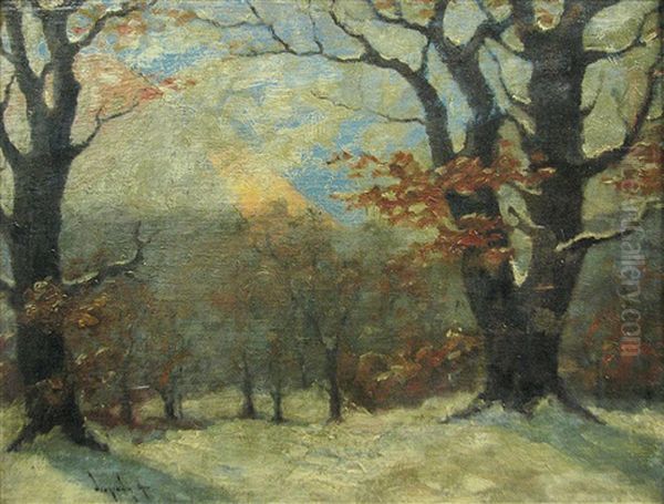 Early Winter - view 1