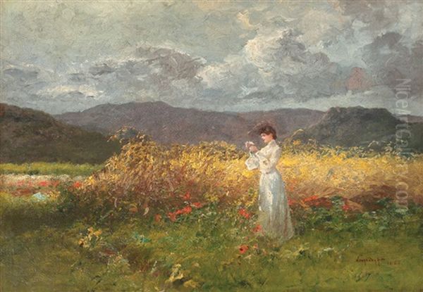 Through The Poppies - view 1
