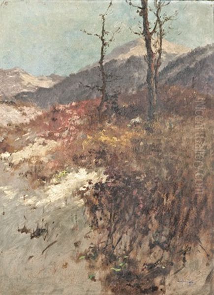 Oszi Taj - view 1