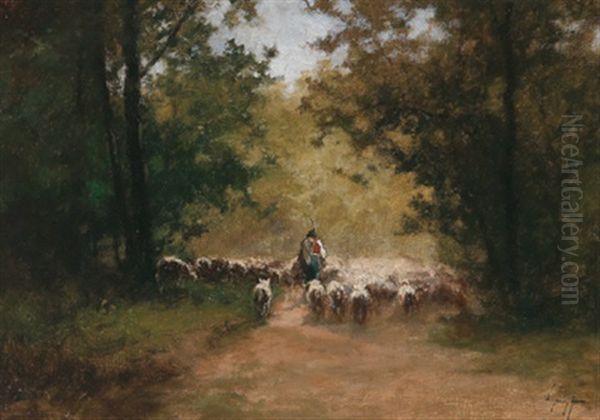 Schafer Mit Seiner Herde Am Heimweg - view 1
