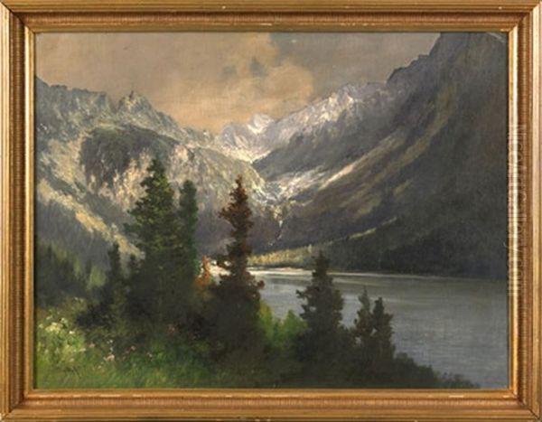 Landscape - view 1