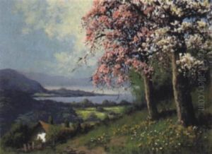Bluhende Baume