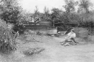 Bauernhofidylle Bauernhofidylle
