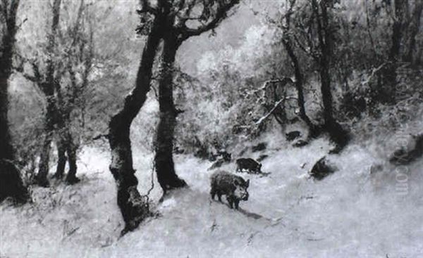 Wildschweine Im Winterwald - view 1