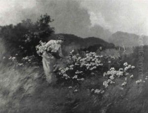 Auf Der Sommerwiese