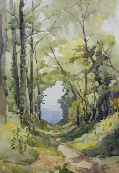Aportfolio Of Views Of Meadows - view 1