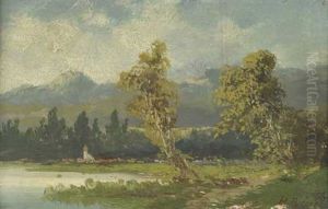 Baumbestandenes Seeufer Mit Den Alpen Im Hintergrund Baumbestandenes Seeufer Mit Den Alpen Im Hintergrund