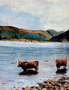 Highland Cattle by Geoffrey Birkbeck