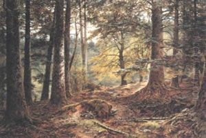 In The Deer Forest, Inverary by John Nesbitt