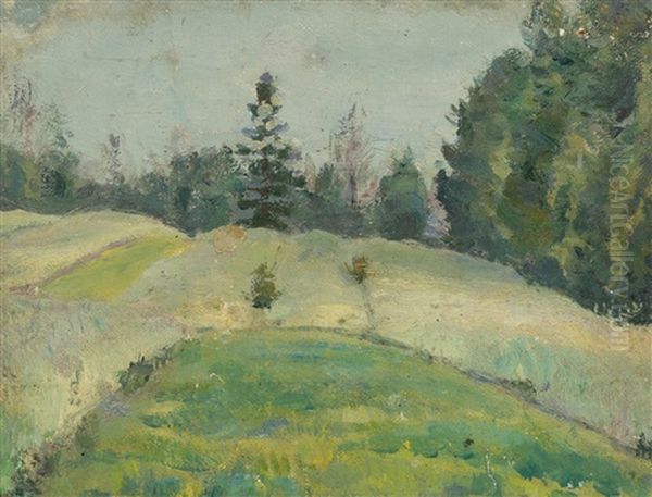 Forest Hillside - view 1
