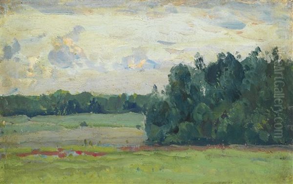 Fields - view 1