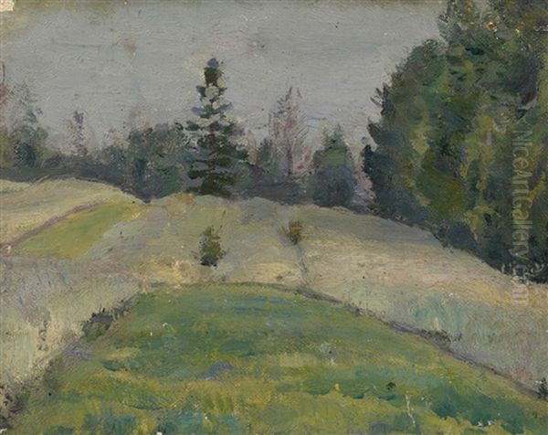 Forest Glade - view 1
