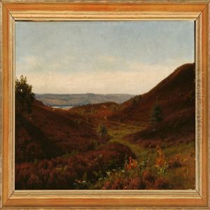 Moor Landscape At Silkeborg Lake District by Axel Birkhammer