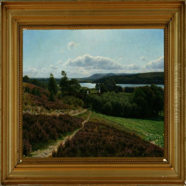 Summer View At The Silkeborg Lake District, Denmark - view 1