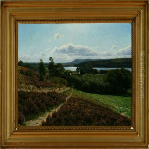 Summer View At The Silkeborg Lake District, Denmark by Axel Birkhammer