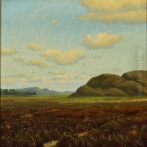 Moor Landscape From Svanninge On Funen