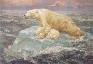Polar Bears