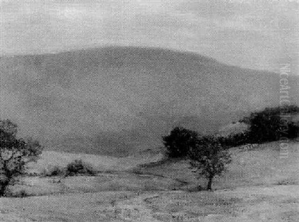 Grey Day In The Hills - view 1