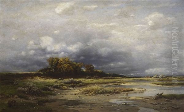 Weite Moorlandschaft - view 1