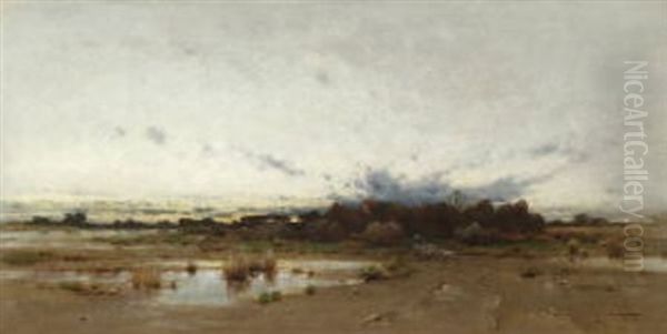 Abendliche Moorlandschaft - view 1